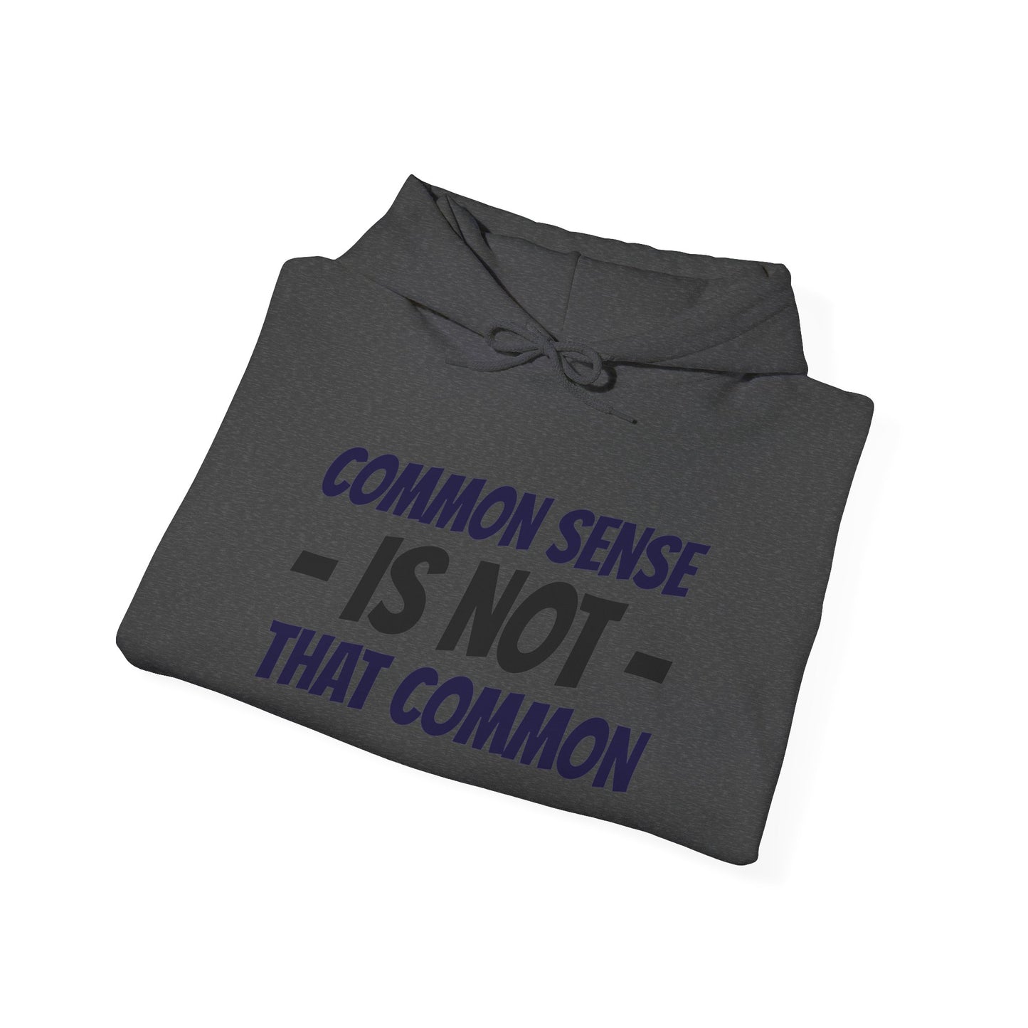 Common Sense Is Not That Common Hoodie – Funny Statement Pullover