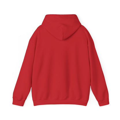 Common Sense Is Not That Common Hoodie – Funny Statement Pullover