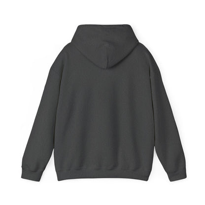 Common Sense Is Not That Common Hoodie – Funny Statement Pullover