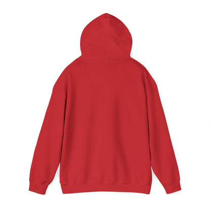 Common Sense Is Not That Common Hoodie – Funny Statement Pullover