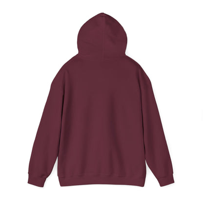 Momma and Mini legends Hoodie